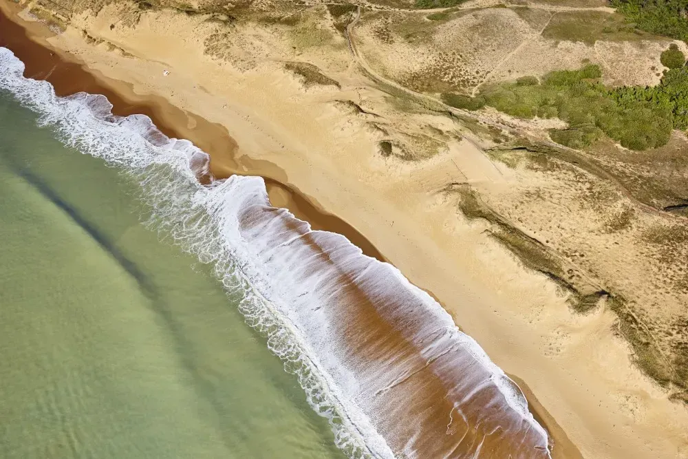 vue aérienne marais foret plage