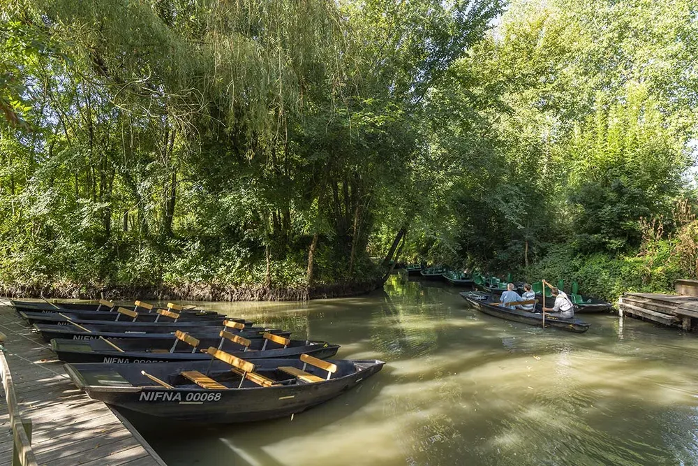 Embarcadère paisible avec barques amarrées le long d'une rive arborée dans le Marais Poitevin.