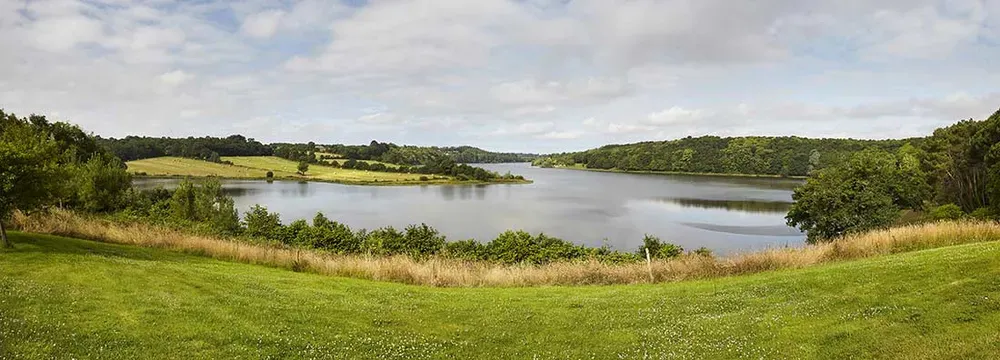 Vue panoramique sur le plan d'eau et les rives boisées du Lac du Jaunay, idéal pour la randonnée proche de Martinet