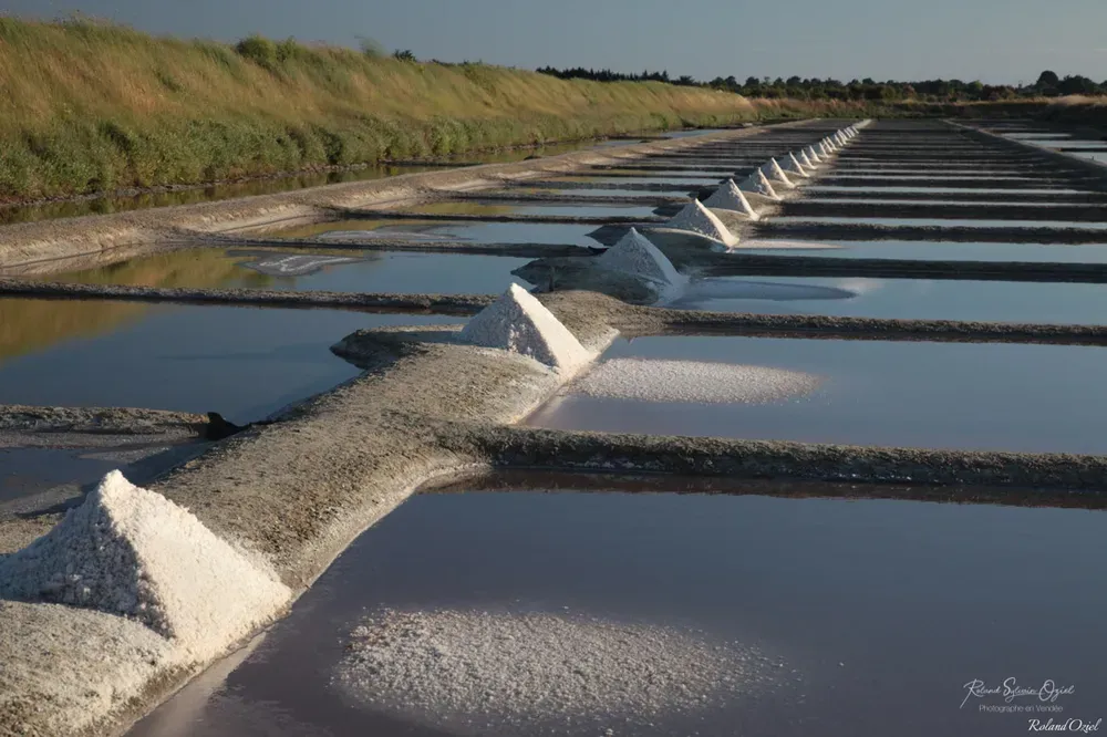 Tas de sel marin fraîchement récolté par le saunier au bord d'un bassin à l'Île d'Olonne.