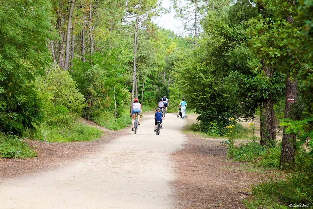 Balade à vélo sur une piste cyclable aménagée en lisière de forêt à Saint-Jean-de-Monts