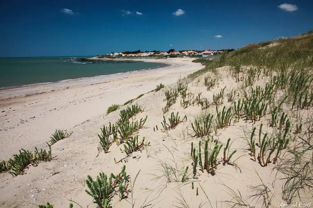 La plage de sable fin et l'océan turquoise à Brétignolles-sur-Mer, station balnéaire proche de Martinet