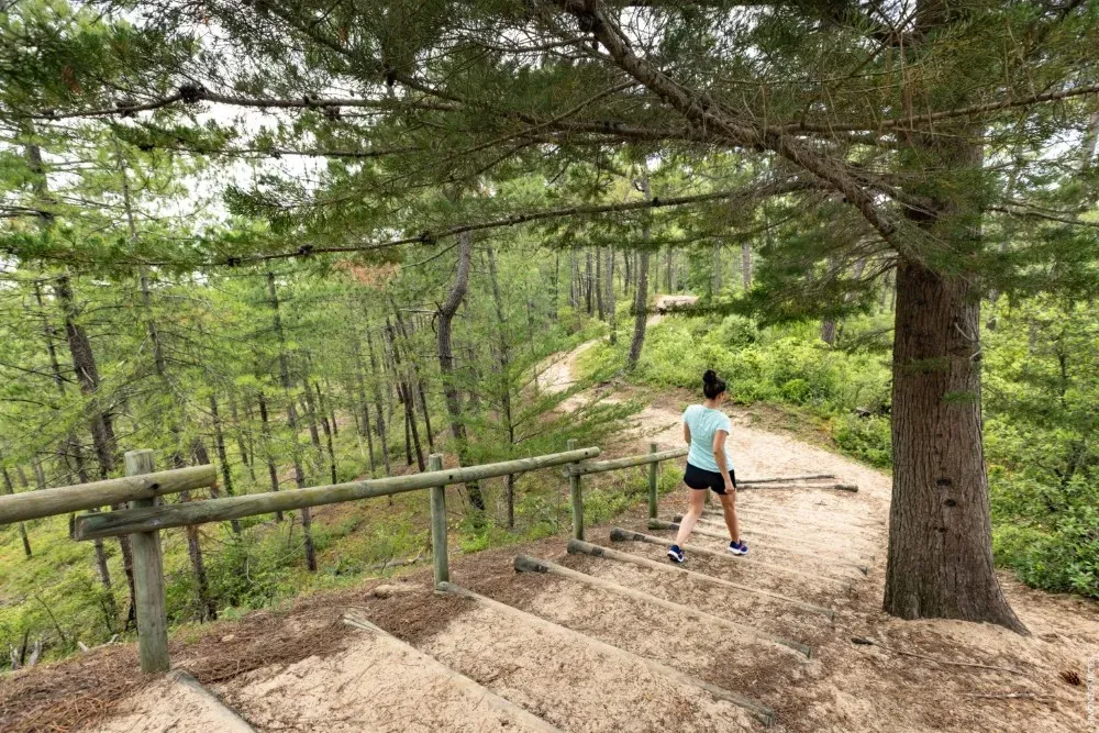 trail en foret de saint hilaire de riez